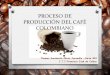 Proceso de producción del café colombiano