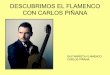Libro de vocab flamenco