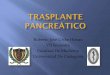 Trasplante pancreático