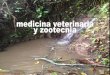 Medicina veterinaria y zootecnia