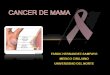 Cancer de mama Faruk Hernandez Sampayo