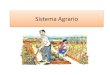 Sitema  Agrario