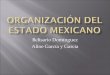 Organizacion edo mexicano