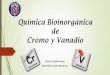 Seminario quimica bioinorganica de cromo y vanadio (final)