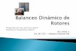 Balanceo dinámico de Rotores