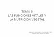 Tema 9 .las funciones vegetales. la nutrición vegetal