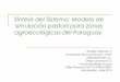 Síntesis del Sistema: Modelo de simulación pastoril para zonas agroecológicas del Paraguay