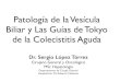 Patologia de la vesícula biliar y las guías de tokyio slideshare