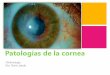 Patologias de-la-cornea