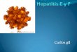 Hepatitis e y f
