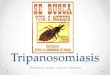 Tripanosomiasis y Dengue