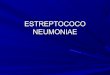 Estreptococo neumoniae