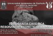 Tomografía y Resonancia Magnética Cardiaca - Cardiología