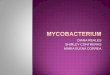 Mycobacterias 3