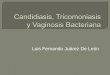 Candidiasis, tricomoniasis y vaginosis bacteriana
