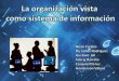 La organización como sistema de información
