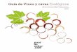 Guia Vinos ecológicos Valencianos 2015 puntdesabor