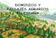PAISAJES AGRARIOS DE ESPAÑA