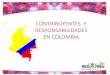 Contribuyentes y Responsabilidades en ColombiaTipos de contribuyente