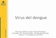 Virus Del Dengue
