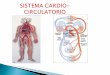 Sistema Cardio Circulatorio