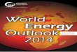 Wordl Energy Outlock 2014 en Español