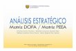 Análisis DOFA y PEEA Xpressart Estudio Creativo C.A