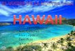 El viatge de la nostra vida hawaii alex joan ignacio dani