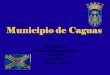 Municipio de Caguas