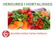 Els aliments verdures