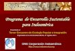 Programa de Desarrollo Sustentable para Indoamérica