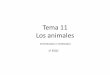Tema 11 . los animales 13-14