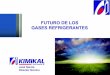 Presentacion jornada tecnica sobre gases fluorados   kimikal