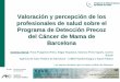 Valoración y percepción de los profesionales de salud sobre el Programa de Detección Precoz Cáncer de Mama de Barcelona