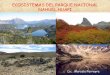 Ecosistemas del Parque Nacional Nahuel Huapi   Patagonia - Argentina