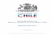 Plan de Reconstruccion Terremoto chile 2010 Resumen Ejecutivo