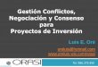 Gestion de conflictos, negociacion y consenso para proyectos de inversion