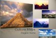 Cultura maya  region norte