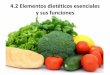 Elementos dieteticos escenciales y sus funciones