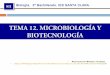 Tema12 microbiología