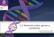 Relacion genes proteinas