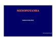 Sociedades Fluviales: Mesopotamia