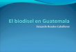 El biodisel en guatemala