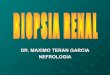 Biopsia renal