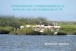 Conocimiento y conservación de la avifauna en los Humedales de Ite