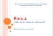 Presentacion del ébola dhtic