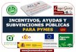 Repertorio de Incentivos, Ayudas y Subvenciones Públicas para PYMES