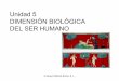 Tema 5 Dimensión biológica del ser humano