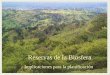 Planificación para la conservación y el uso sostenible de la biodiversidad en las Reservas de la Biosfera – avances en Colombia ppt