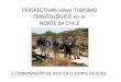 Perspectivas sobre Turismo Ornitológico en el  Norte de Chile